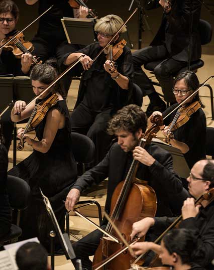 Insula orchestra