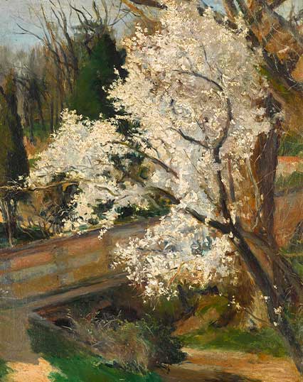 Spring Blossom