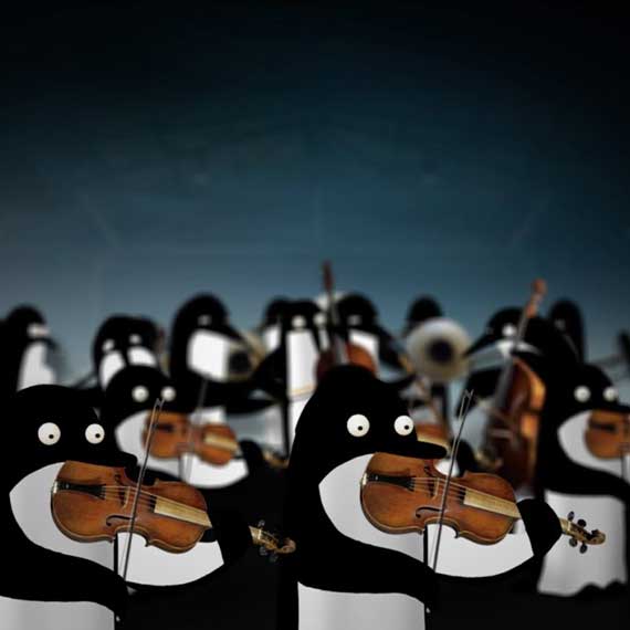 Pingouins Disposition