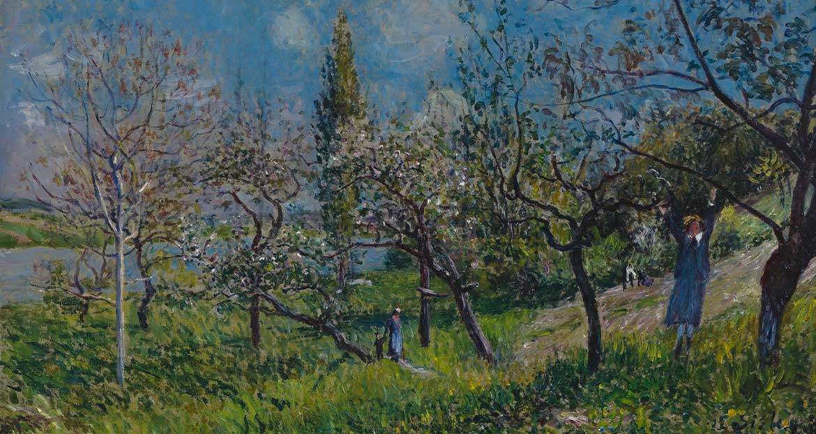 Orchard in Spring