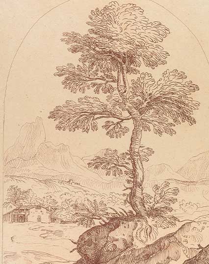 Pastoral scene with tree